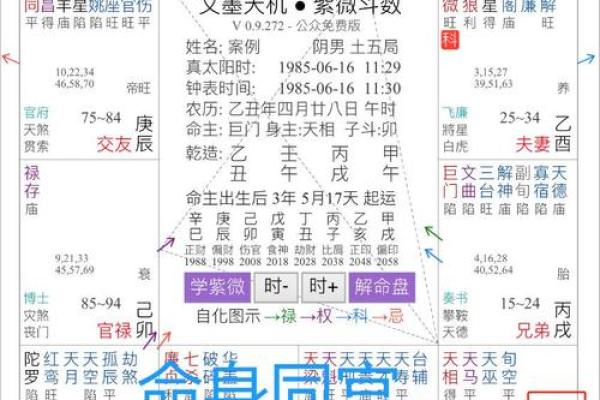 紫薇斗数紫薇入命