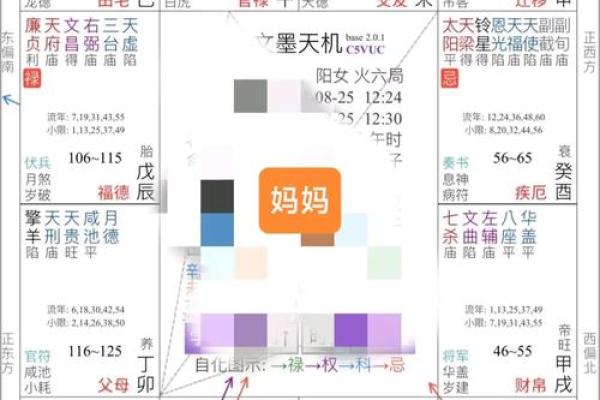 紫薇斗数紫薇入命