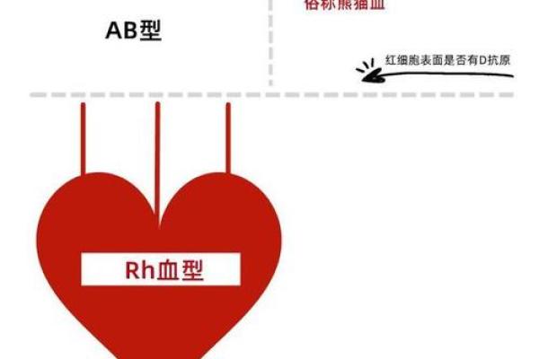 血型各国比例分析
