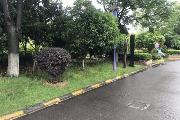东方湾邸风水好吗