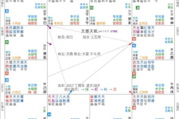 紫薇斗数龙池入命