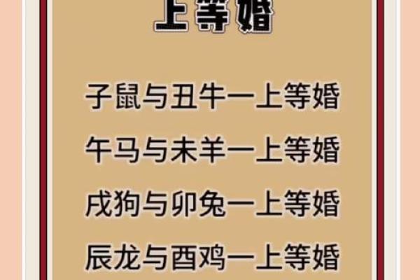 96鼠98年虎婚配穷一辈之婚姻配对解析