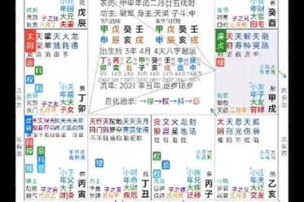 紫薇斗数中看长相