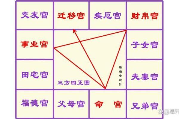 紫薇斗数开车撞人