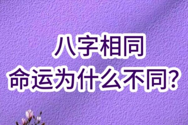 相同八字相同大运不同命运