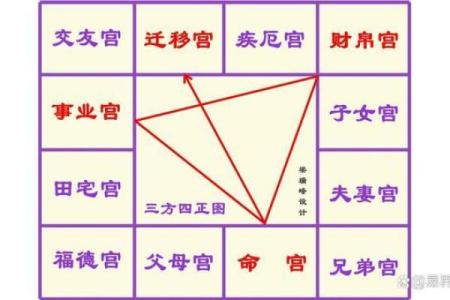 紫薇斗数开车撞人