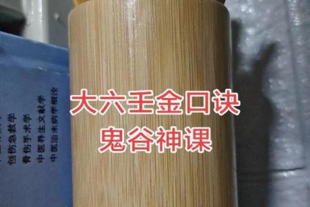 金口诀怎么排盘