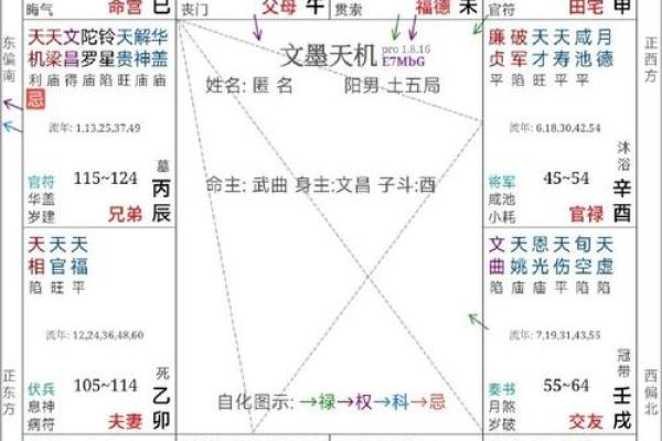 紫薇斗数嫁入豪门