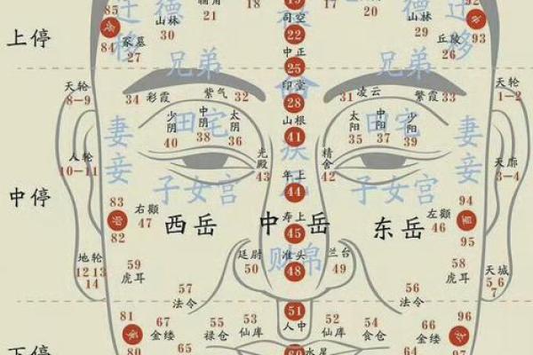 紫微斗数诸星落诸宫之:巨门星官禄宫详解 紫微斗数诸星落诸宫之:巨门星官禄宫详解