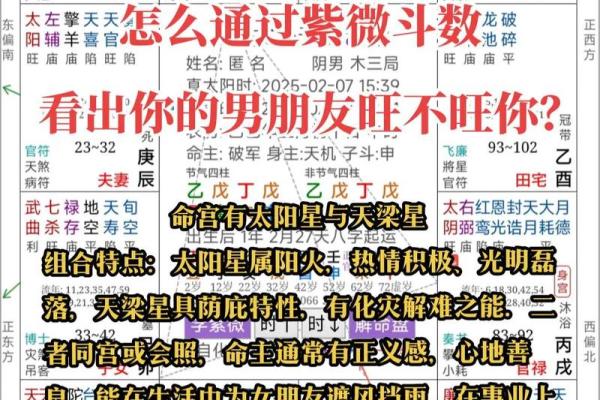 紫薇斗数app准吗
