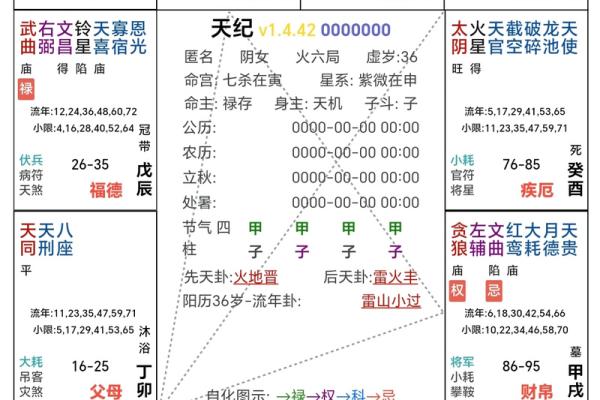 紫薇斗数占卜详解