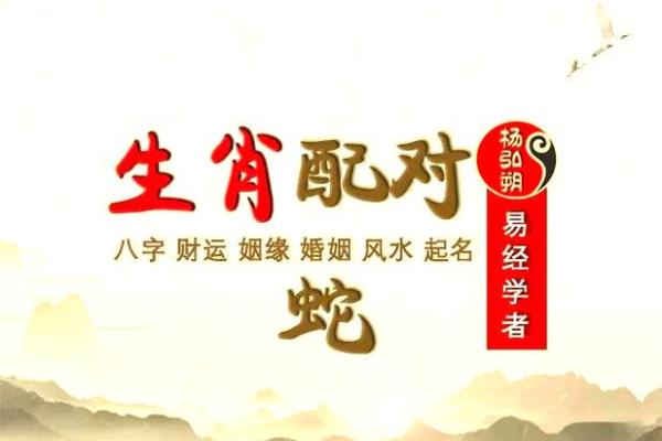属蛇的男人应该与哪个生肖进行配对