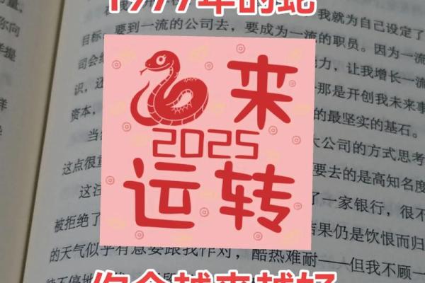 属蛇的男人应该与哪个生肖进行配对