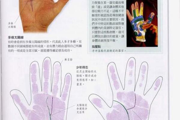 《手相学习百科》：手的轮廓特征