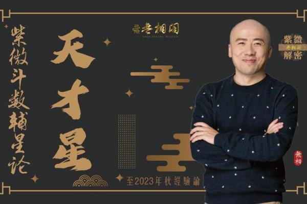 紫薇斗数中天才