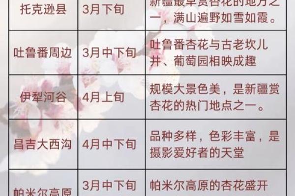 塔吉克族的传统节日和风俗习惯有哪些？