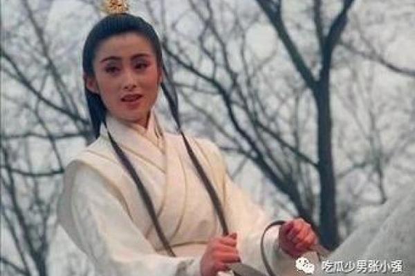 赵敏紫薇斗数