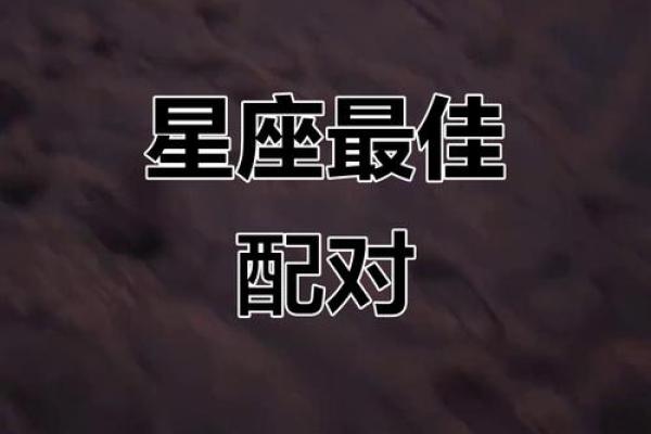 狮子座和什么座最配对情侣 狮子座和什么座最配对闺蜜