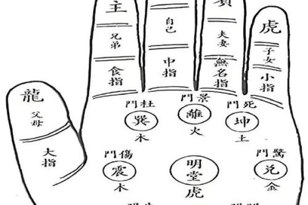 手掌算命男左女右