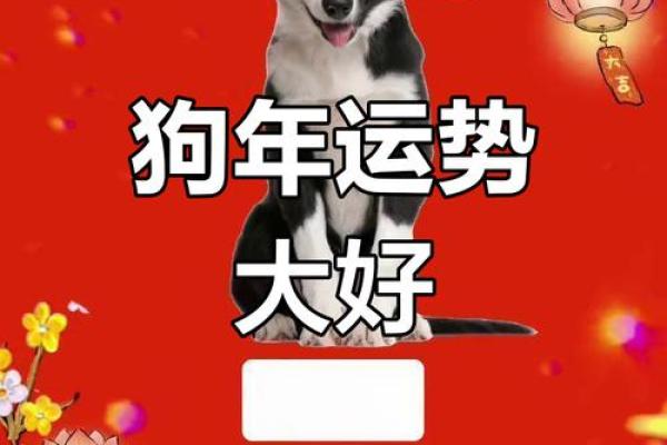 2024年打牌财运方位 属狗打牌坐哪个方位好