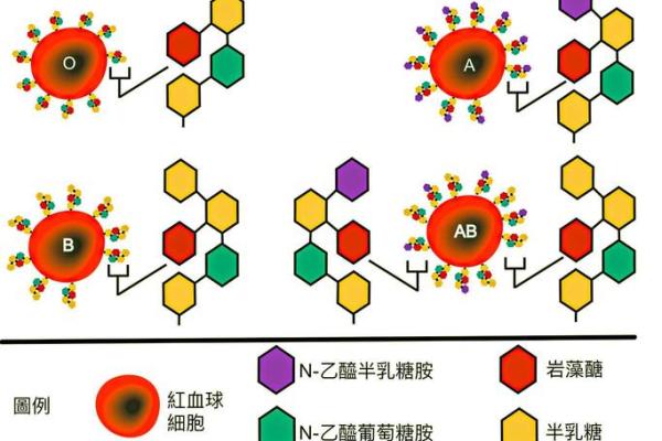 全球100位富豪的血型