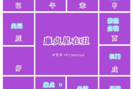 紫微斗数之福德宫与诸星，廉贞星在福德宫是什么意思？