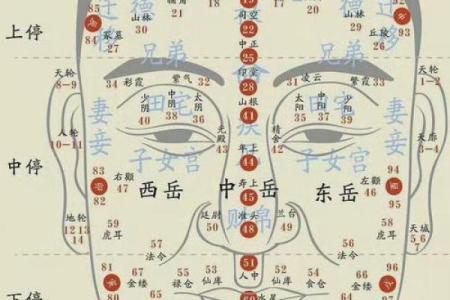 紫微斗数诸星落诸宫之：巨门星官禄宫详解