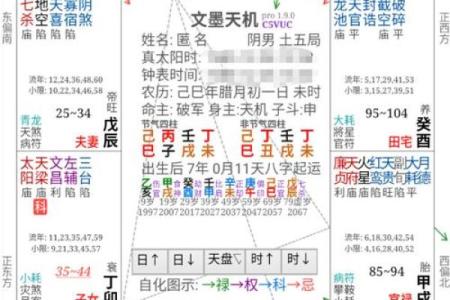 紫薇斗数网上命例