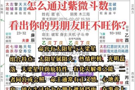 紫薇斗数app准吗