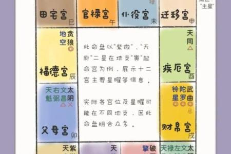 紫薇斗数中天才