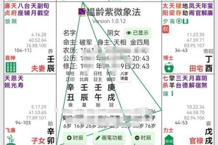紫薇斗数看什么样的男女会结婚