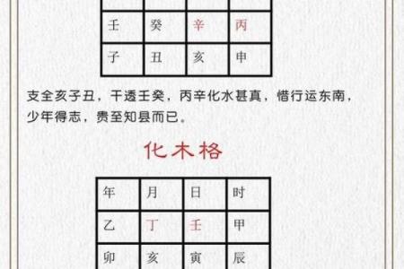 特殊格局八字