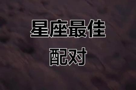 狮子座和什么座最配对情侣 狮子座和什么座最配对闺蜜