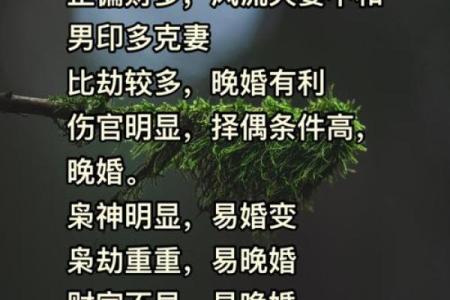 风水解答八字纯阳的男人好不好