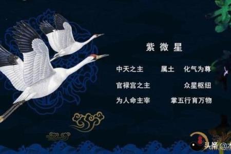 紫薇斗数夏令时