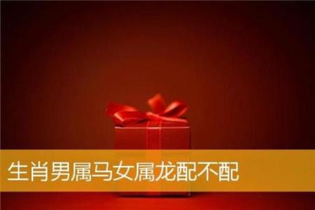 属龙男和属马女姻缘怎么样 属龙男和属马女配对好不好