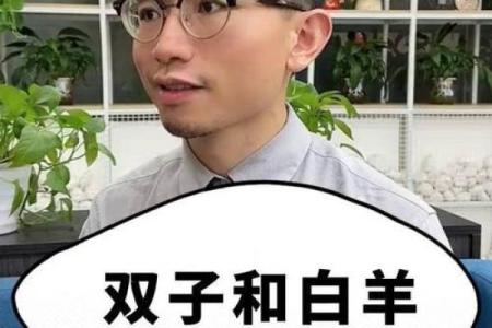 双子男和白羊女座配对指数一对有欢乐与悲伤的组合