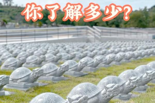 什么时候造生基好-造生基吉日介绍