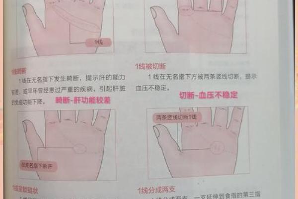 《手相学习百科》：手相看爱情