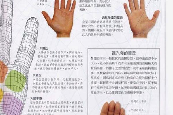 《手相学习百科》：手纹的成长与改变