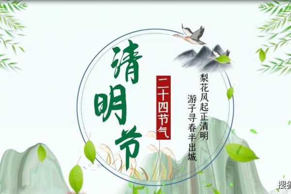 二十四节气之清明的民俗与养生