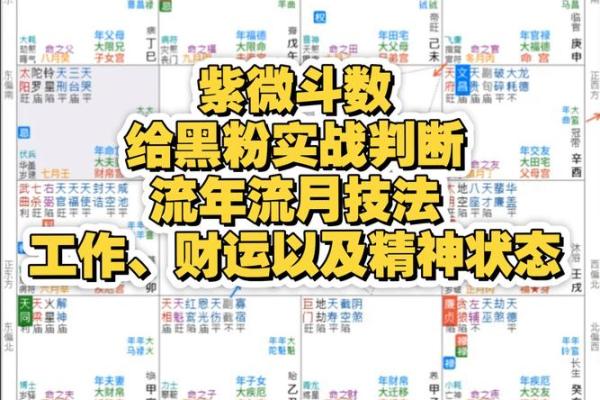 紫薇斗数怎么看生死