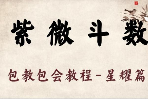 紫薇斗数四煞星