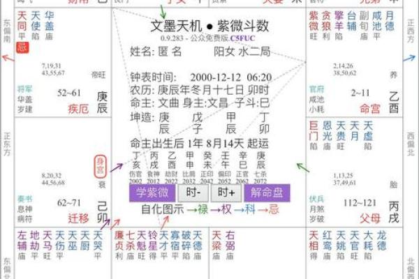 紫微斗数陀罗在命宫的重要性及解读