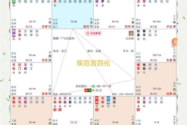 紫微斗数陀罗在命宫的重要性及解读