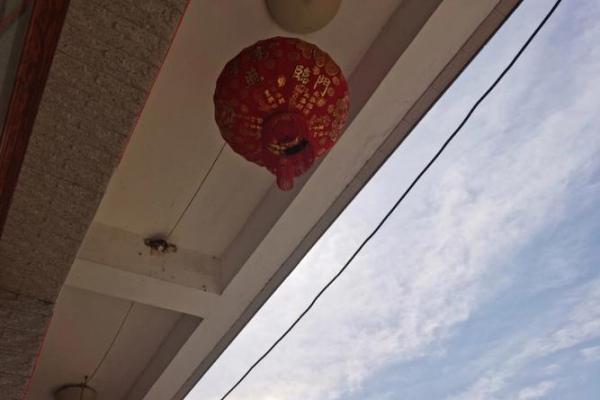 什么是堂前燕风水