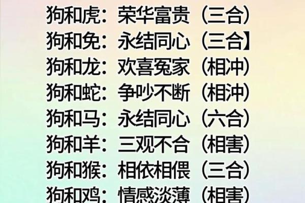 85年属什么的生肖性格 85年属什么的生肖配对兔