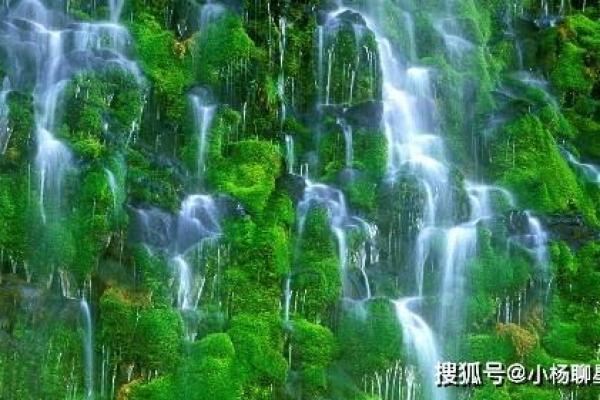 风水二八佳人是什么生肖最恰当