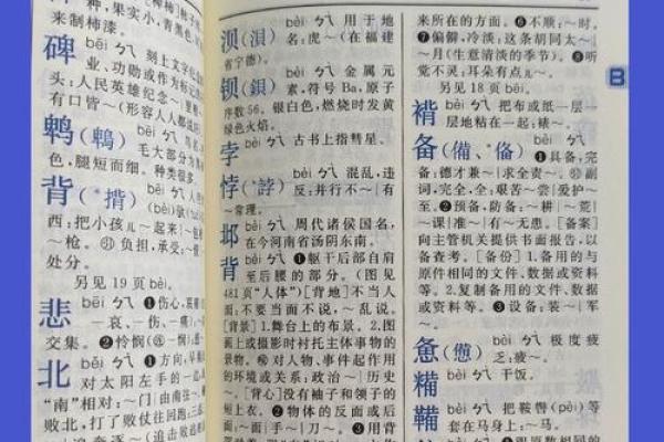 “精字典”：一本收录千万精彩含义的百科全书