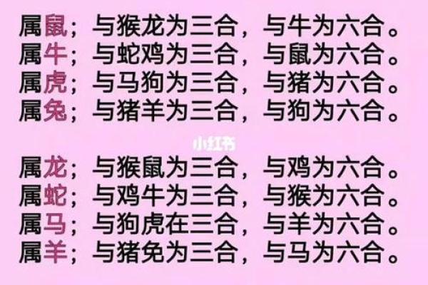 12生肖配对姻缘猪与虎 十二生肖猪和虎合不合？